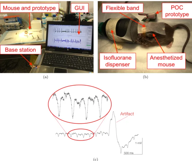 Figure 2.5 – In-vivo results : (a) experimental setup with the user interface and the base station, (b) anesthetized mouse with proof of concept (POC) prototype mounted on its back and (c) recorded ECG signal with artifacts.