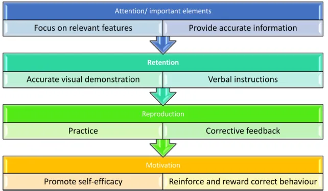 Figure 1. Summary of the Four Stages of Observational Learning 