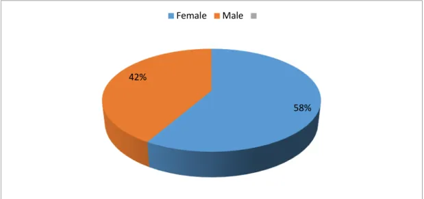 Figure 2. Demographics 