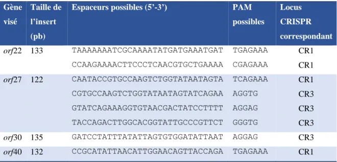 Tableau 2.3 : Espaceurs possibles visés lors de la programmation du système CRISPR-Cas