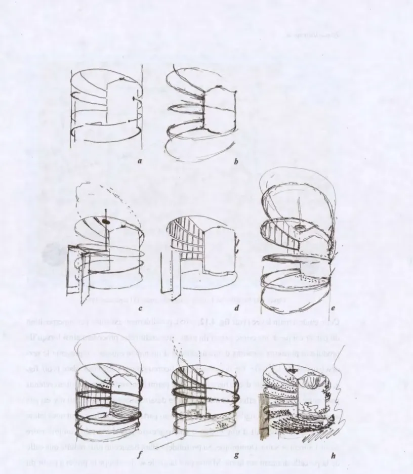 Figure 4.11  Anatomie évolutive du« théâtre comme une huître», croquis exploratoires,  1986