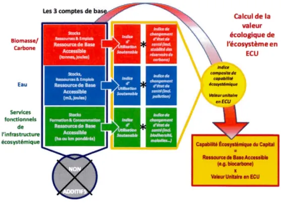 Figure  1.8  Illustration  du  calcul  de  la  valeur  écologique  du  capital  écosystémique en ECU (Weber, 2014) 