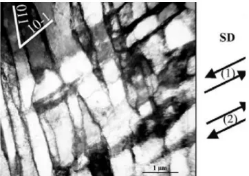 Fig. 1.13 – Microstructure d’un grain d’acier ferritique après un essai Bauschinger [NBT01b]