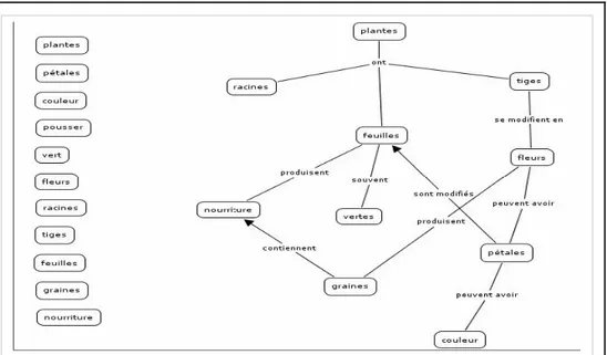 Illustration : exemple de carte conceptuelle à partir de la question :  qu'est-ce qu'une plante ? (Novak, 1994)