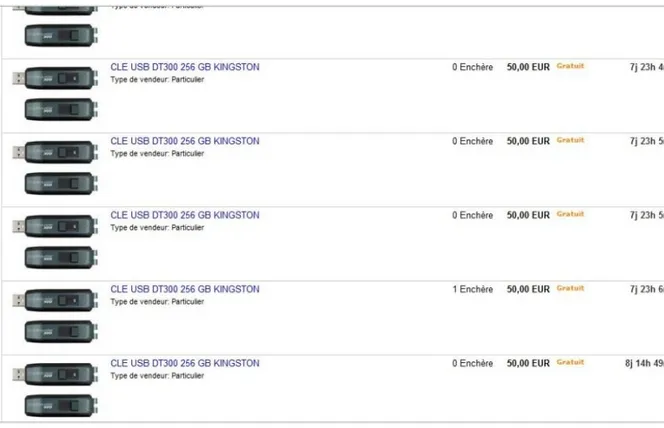 Figure 5 Le vendeur d’un stock de clés usb préfère payer N annonces pour que les N items apparaissent autant de fois  dans les premières pages de résultats sur la recherche «clé usb» plutôt que d’opter pour les enchères hollandaises  destinées aux ventes m