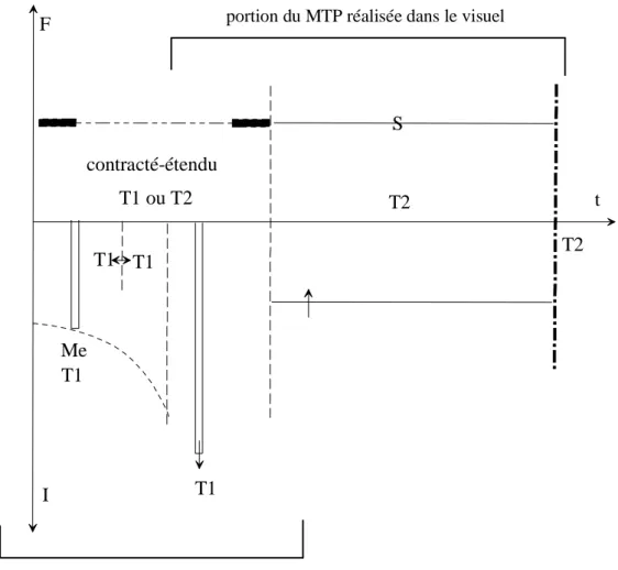 Figure 18 : MTP du contracté-étendu et sa décomposition sur les modalités sonore et visuelle 