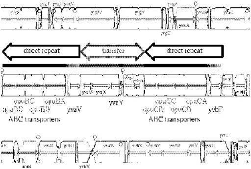 Figure 3 : Visualisation de transferts potentiels de gènes 