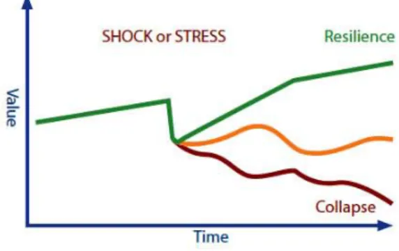 Figure 2. La résilience dans les matériaux d’après le Communityresiliencetoolkit  Ce  concept  de  résilience  a  fait  l’objet  d’une  transposition  dans  le  domaine  des  sciences  humaines  et  sociales