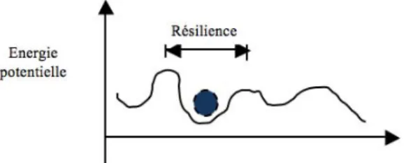 Figure 4. La résilience : quantité de changement qu’un système doit éprouver pour chan-
