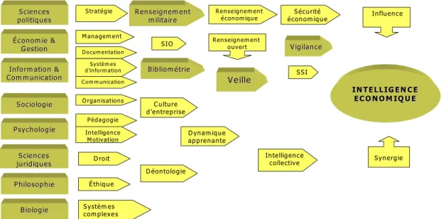 Figure 1 : L’arbre généalogique de l’IE 