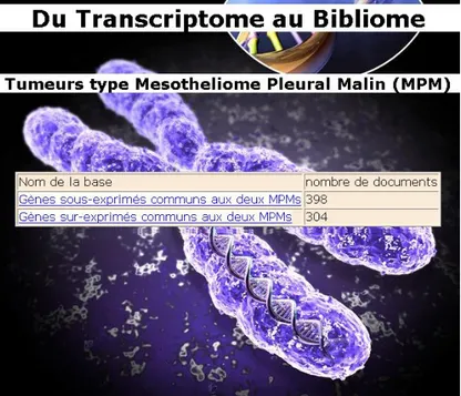 Illustration 2 : Serveur documentaire sur le mesotheliome. 