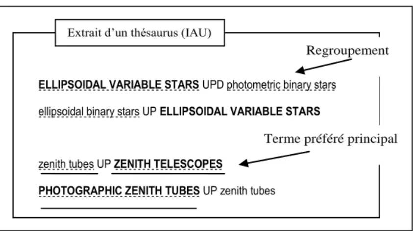 Figure 4 : Exemples de groupements des termes du thésaurus 