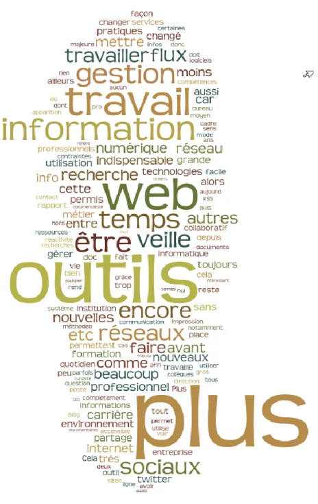 Figure 3. Visualisation wordle des réponses libres. 