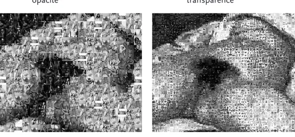 Figure 1. Reynald Drouhin, Om/Transexual (2005).