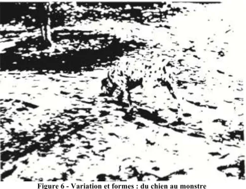 Figure 6 - Variation et formes : du chien au monstre 
