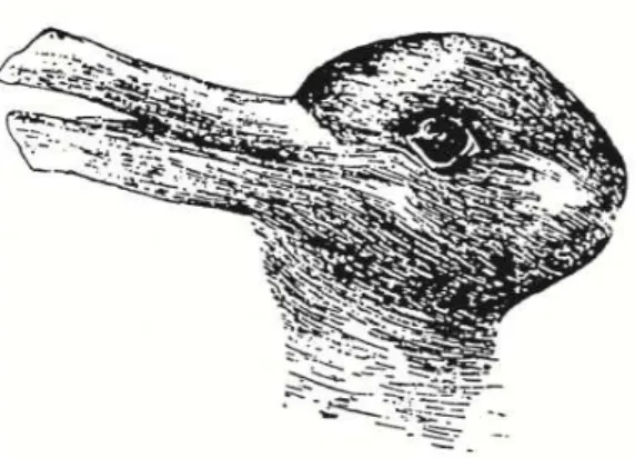 Figure 7 - Variation de formes du canard 