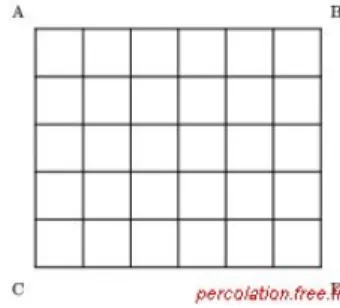 Figure 8. Modèle de la grille de points. 