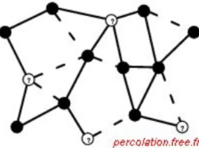 Figure 6. Illustration de la percolation de sites. 