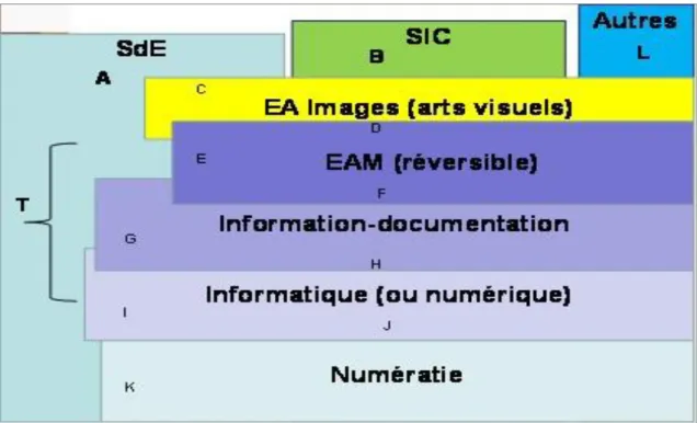 Figure 1 : Les champs et disciplines schématisés 