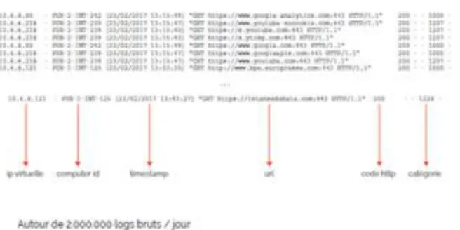 Graphique 2 : extrait du journal de logs (source : Quentin Lobbé et Dana Diminescu) 