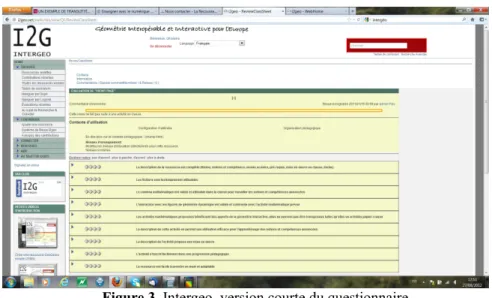 Figure 3. Intergeo, version courte du questionnaire.