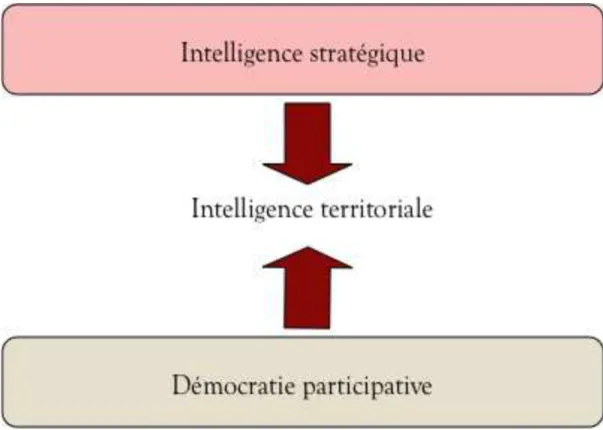 Figure 1 : l’intelligence territoriale dans une dialectique top-down et bottom-up 