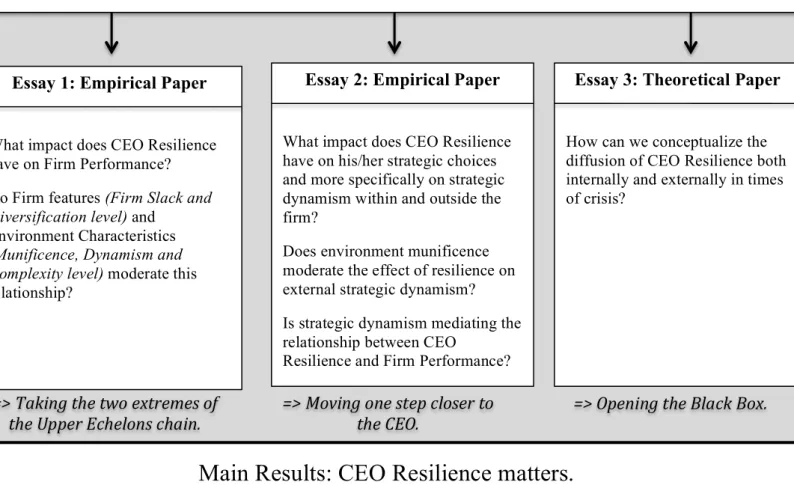 Figure 1-Summary of the Doctoral Thesis Structure 