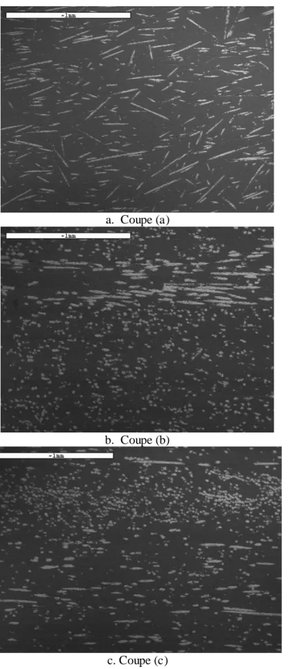 Figure I.14. Répartition des fibres sur les faces d’une plaque en PP-GFL40. 
