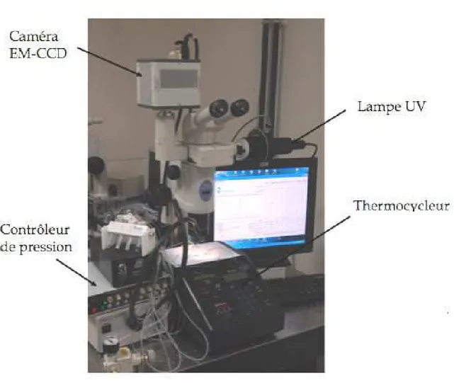 Fig. 2.7 – Photographie du montage expérimental de détection en temps réel de la fluo- fluo-rescence émise par les gouttes.