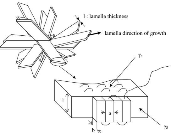 Figure 1.1-11 : Model of the growth of a lamellar polymer crystal through the  successive laying down of adjacent stems