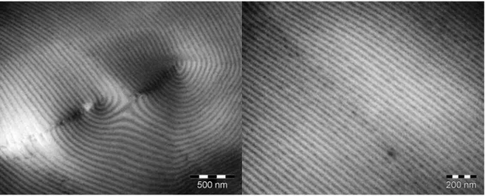 Figure 13 : Images TEM d’un film de PLMA-PS-PLMA recuit, non marqué. A gauche  grossissement : 30K, à droite grossissement : 50K