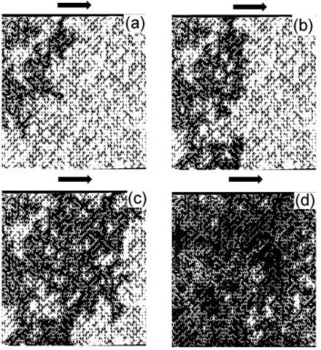 FIG. 6. The  images  of  drainage  experiments  performed  in  a 