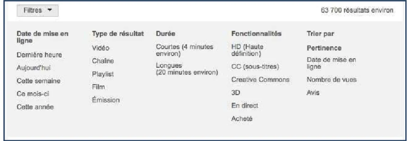 Figure 10. Facettes rigides pour filtrer les résultats de recherches sur Google 