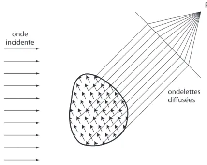 Fig. I.2  Superposition des ondelettes diusées par les diples os
illants élémentaires [50℄.