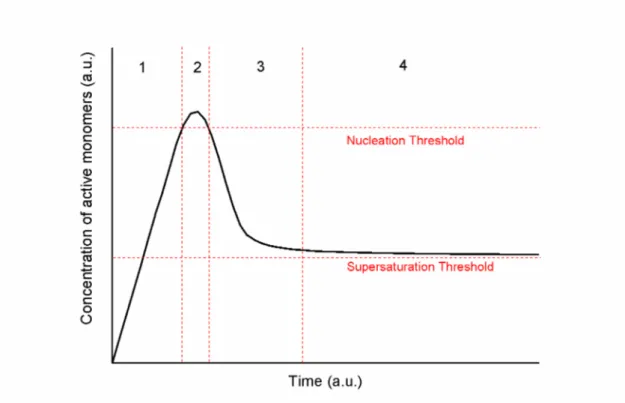 Figure 2.1.: Burst nucleation diagram for colloidal synthesis. The synthesis goes through four steps: 1