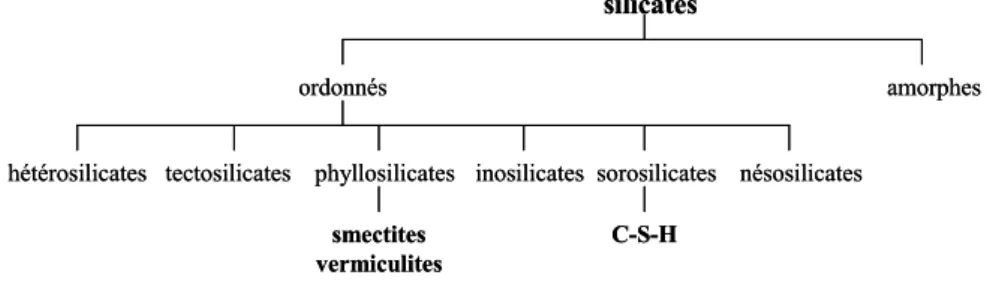 Figure 1. 18 : Place des phyllosilicates hydratés et des C-S-H dans le groupe des silicates