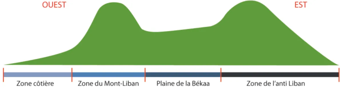 Fig. 4  Coupe schématique du Liban selon un axe Est-Ouest 