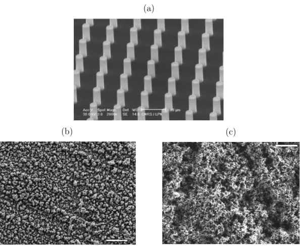 Figure 1.7 – Prises de vue de surfaces de synthèse au microscope électronique. (a) Réseau carré de