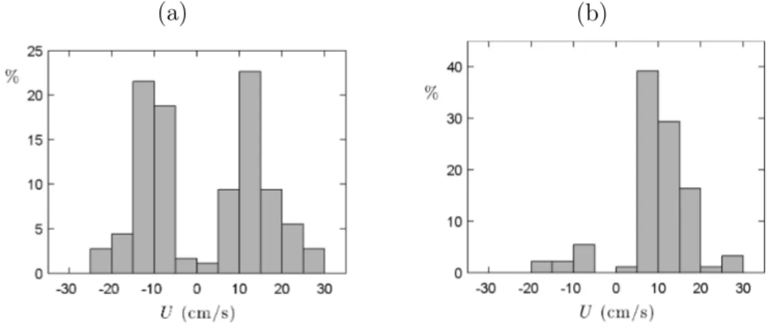 Figure 2.8 – (a) Vitesses des traceurs de l’écoulement de vapeur entre un palet de carboglace et un