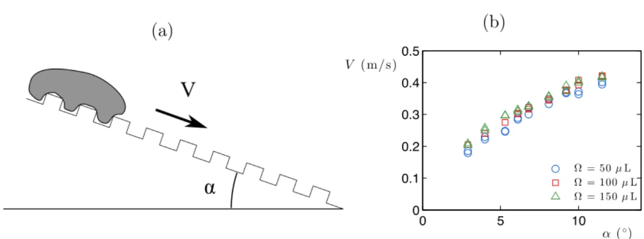 Figure 4.3 – (a) Schéma de l’expérience : la goutte dévale un substrat crénelé, incliné d’un angle α