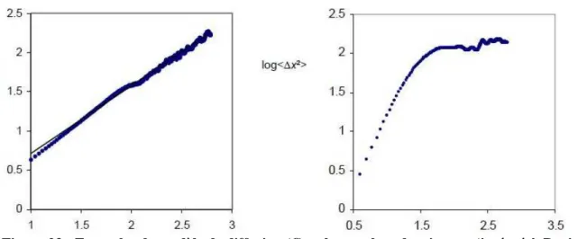 Figure 24 - Exemple de l'influence de la taille sur la vitesse de déplacement (A). Distribution  des données après normalisation (B) 