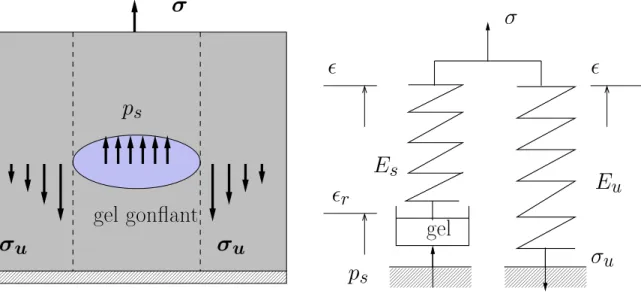 Fig. 2.1  Chimicio-élasticité du gonement
