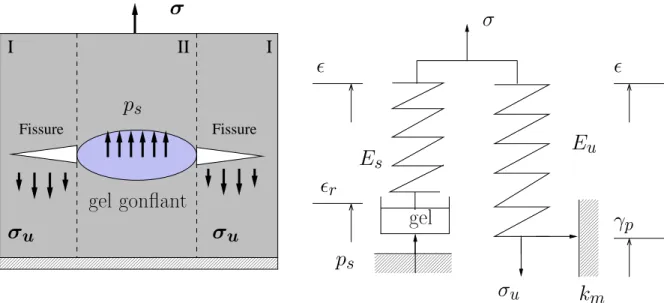 Fig. 3.1  Chimico-plasticité du gonement