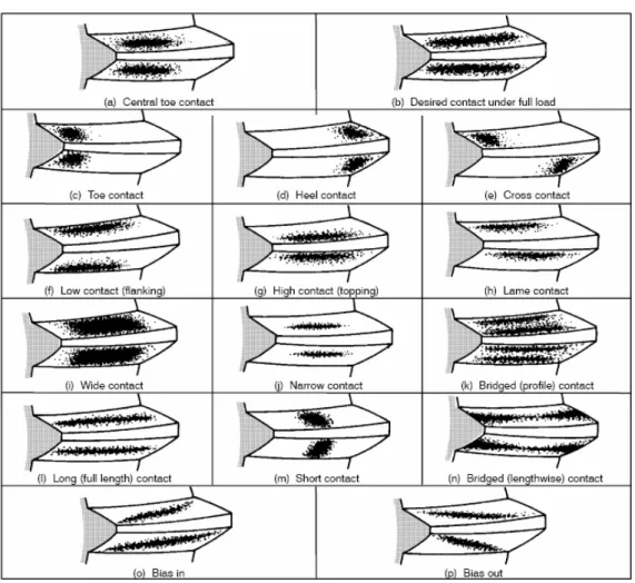 Figure I-48 : Tâches de contact types pour un pignon coniques [AGM01]. satellite monté sur 