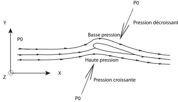 Figure 2.6: Lignes de courant et champ de pression sur un profil 2D