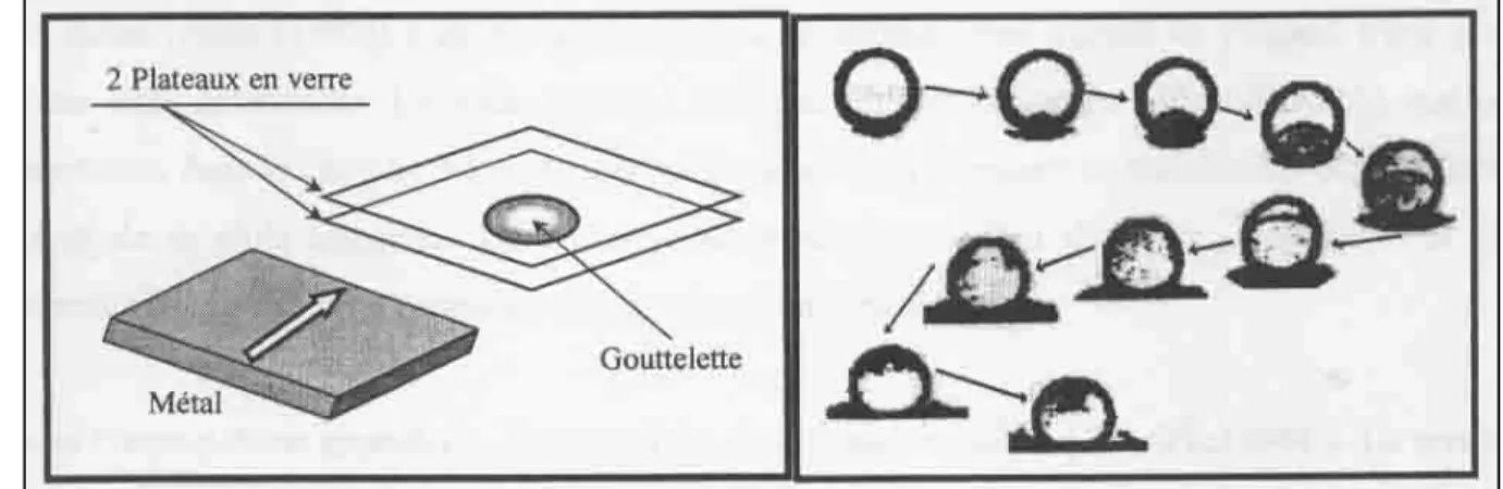 Fig. 2.5. Visualisation du phénomène de « jetting » [Men.Leu(1996)] 