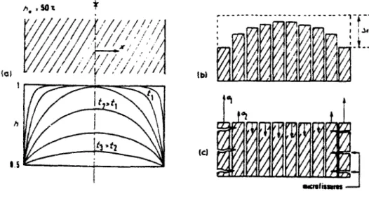 Figure 1-7 : profil type de teneur en eau et fissuration de peau induites, d'après [21]