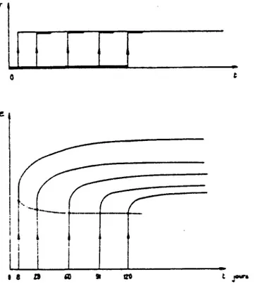Figure 1-10 : fluage du béton pour différents âges de chargement, L'amplitude du fluage  diminue lorsque l'âge de chargement augmente