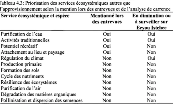 Tableau 4.3: Priorisation des services écosystémiques autres que 