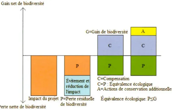 Figure 2.1  Schéma conceptuel de la compensation des pertes de biodiversité au sein de  la  séquence  éviter / réduire / compenser  et  de  l'équiva lence  écologique  (Adapté  de  Quétier et Lavorel ,  2011  et Aiama et al